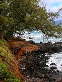 🌴 Road to Hana – Maui’s Scenic Coastal Adventure 🌊✨🇺🇸