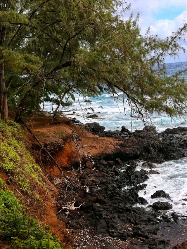 🌴 Road to Hana – Maui’s Scenic Coastal Adventure 🌊✨🇺🇸