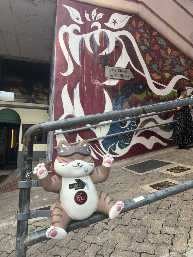 和貓貓一起漫遊荷李活道