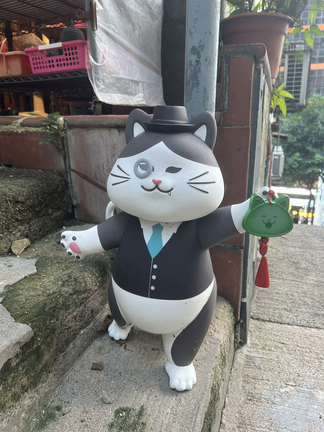 和貓貓一起漫遊荷李活道