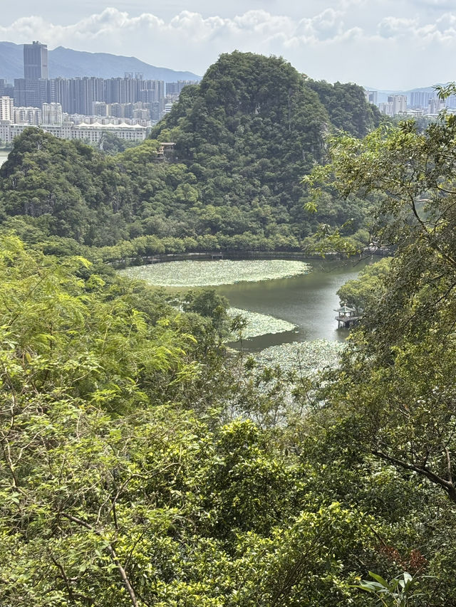 Seven Star Crags: Zhaoqing’s Jaw-Dropping Views 🌟