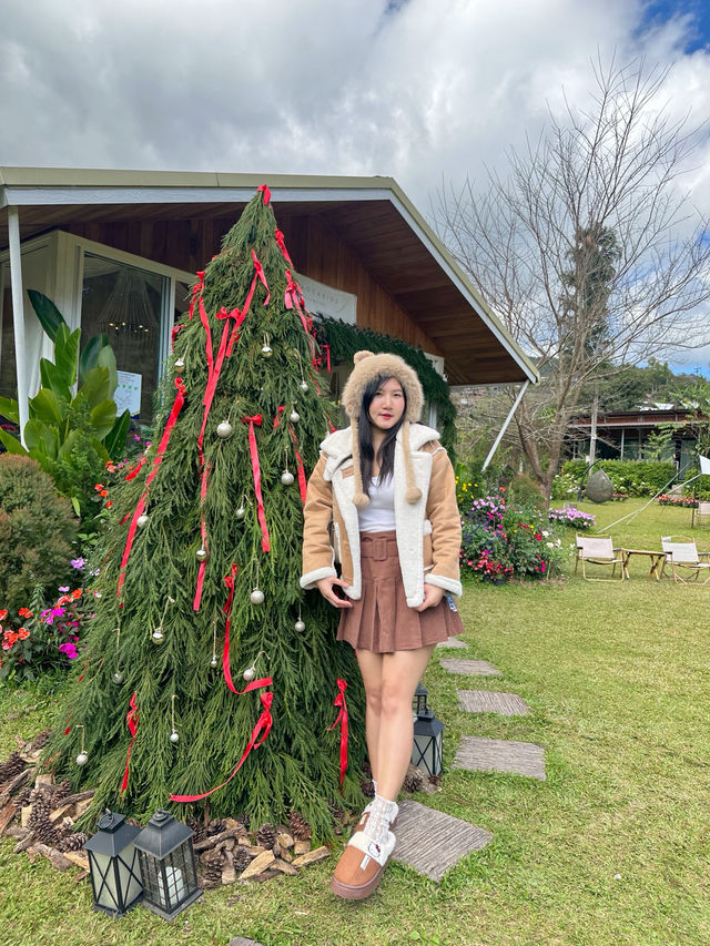 22 AQUARIUS Glamping Cafe