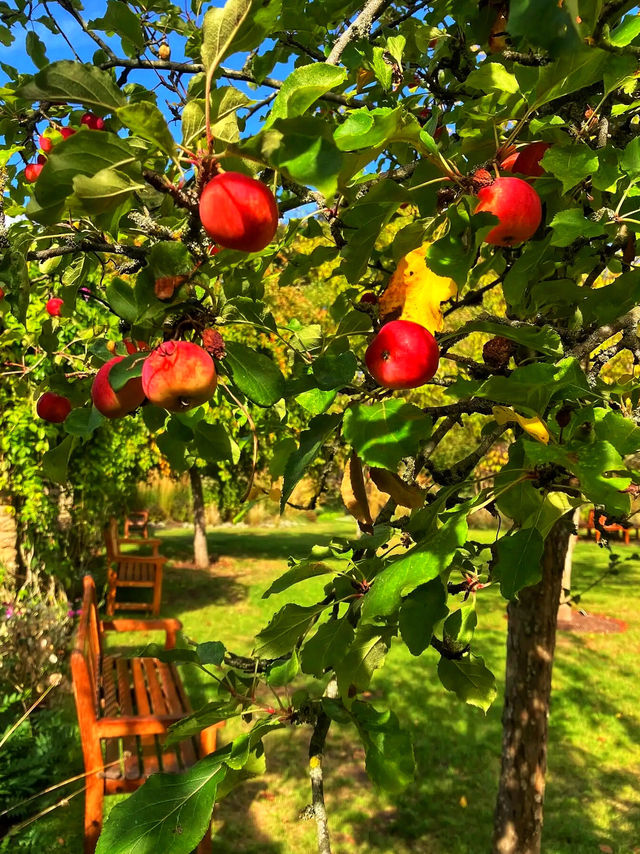 🏡 Step Back in Time at Winterbourne House & Garden 🌺 