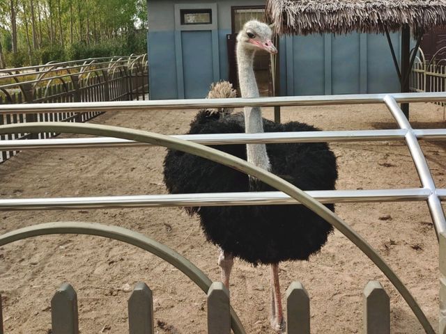 勞動公園免費入場超chill放鬆