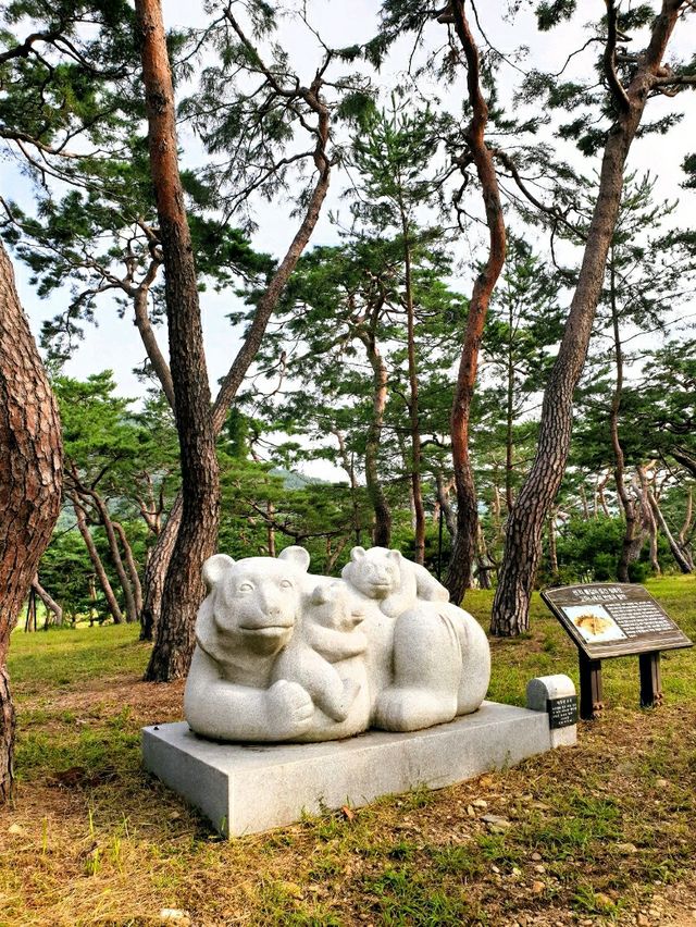 검푸른 숲을 호젓하게 거닐다 - 공주 고마나루솔밭