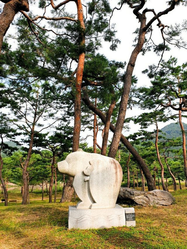 검푸른 숲을 호젓하게 거닐다 - 공주 고마나루솔밭