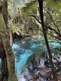 【𝐍𝐞𝐰 𝐙𝐞𝐚𝐥𝐚𝐧𝐝】北島巡り BlueSpring