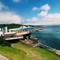 The Albany Historic Whaling Station