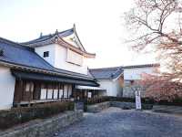 The Castle in the Mist: My Return to Tsuyama Castle