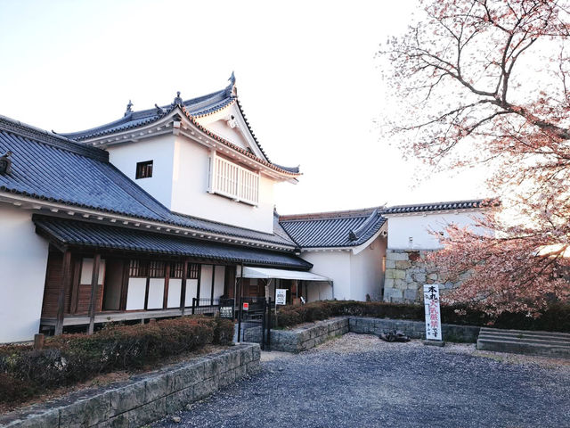 The Castle in the Mist: My Return to Tsuyama Castle