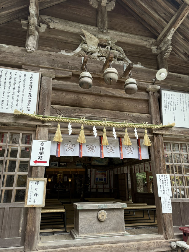 海風、白鳥居、龍貓的足跡：我在糸島尋找治癒系的藍
