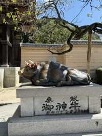 漫步學問與藝術的殿堂：太宰府天滿宮之旅