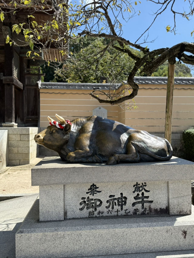 漫步學問與藝術的殿堂：太宰府天滿宮之旅