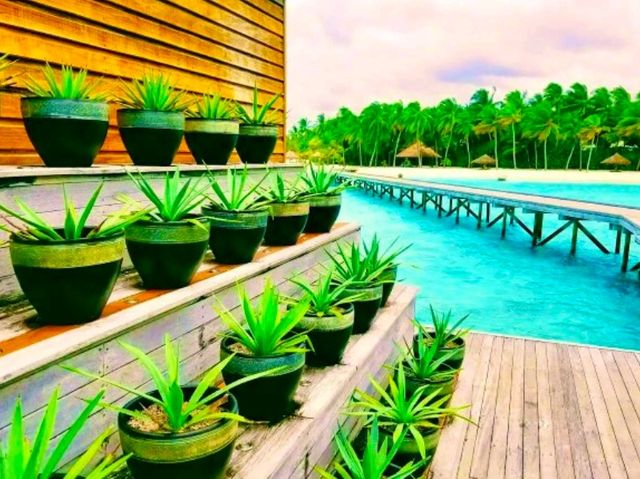 Conrad Maldives Rangali Island – Iconic Overwater Experience