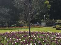 Araluen Botanic Park