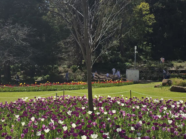Araluen Botanic Park