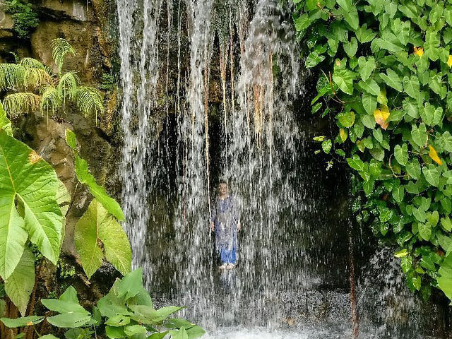 Singapore Botanic Gardens