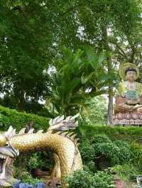Banyan Tree Temple
