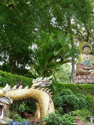 Banyan Tree Temple