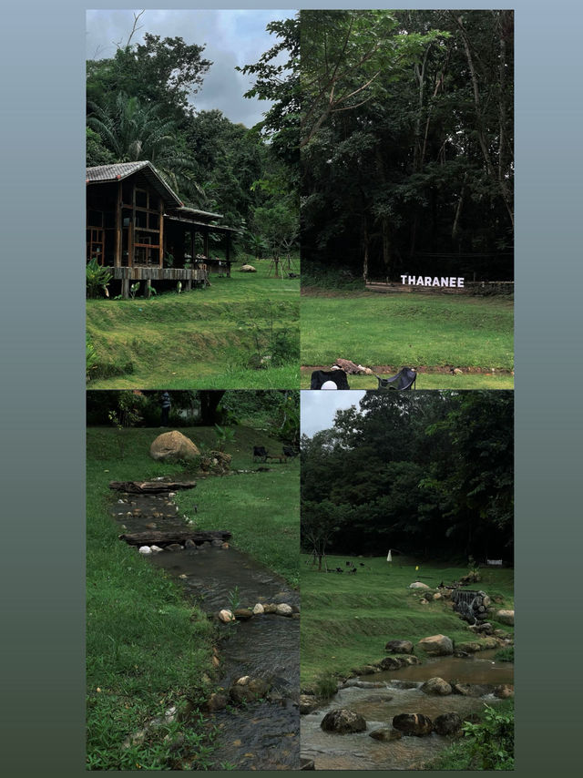 คาเฟ่เปิดใหม่ในเชียงรายมีน้ำตกไหลผ่านธรรมชาติ