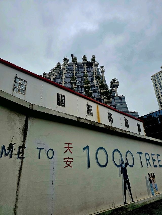 Tian An 1,000 Trees