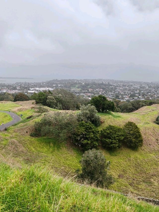 Auckland's Icon: Maungakiekie / One Tree Hill