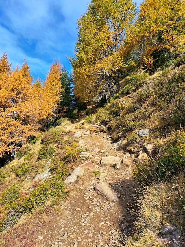 Mont Avic Natural Park