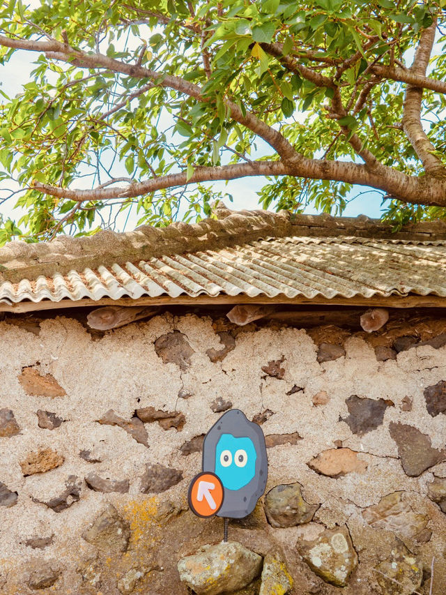 A Celebration of Jeju's Stone Wall Culture