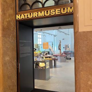 Naturmuseum Winterthur – Exploring Nature Through Time