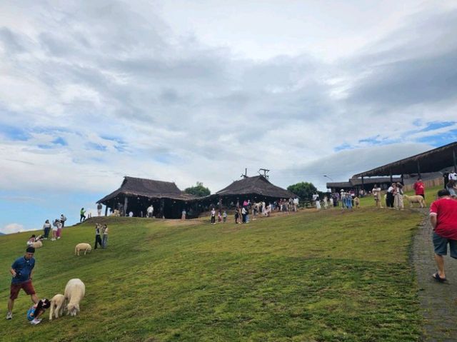 🌿 Akha Farmville ดอยช้าง —ฟีลเหมือนอยู่ฟาร์มยุโรป