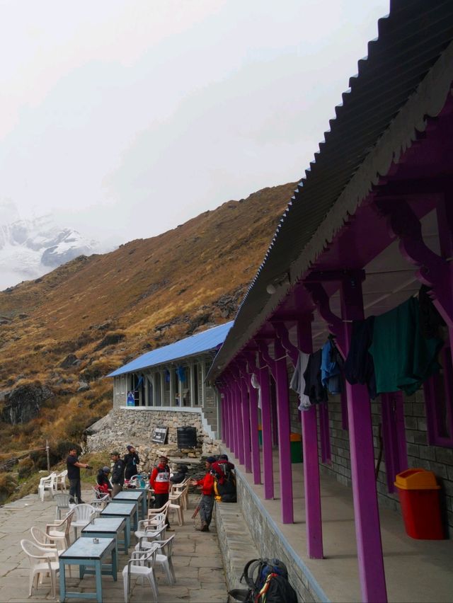 🛌 : Shankar Guest House And Restaurant Nepal 🛌 : Shankar Guest House And Restaurant Nepal