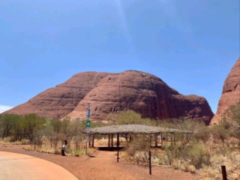 澳洲紅色中心的壯麗心臟