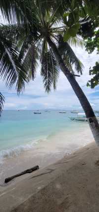 필리핀 보홀 여행