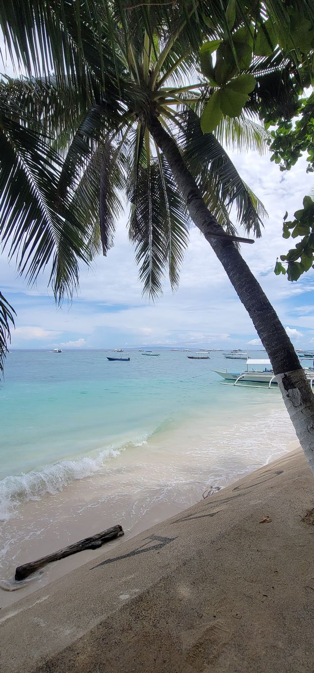 필리핀 보홀 여행 필리핀 보홀 여행