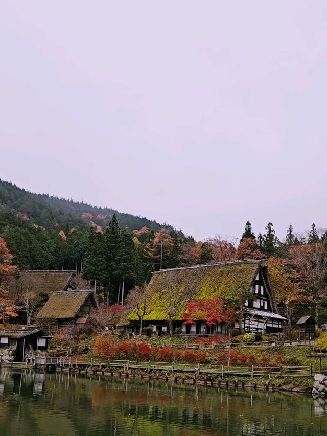 Hida Folk Village (Hida no Sato) 🍁🍂 Hida Folk Village (Hida no Sato) 🍁🍂
