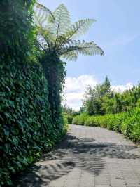 ニュージーランドのシンボルを探して