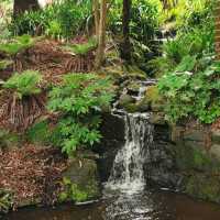 Ayrlies Garden and Wetlands
