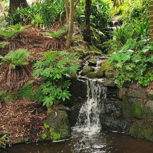 Ayrlies Garden and Wetlands