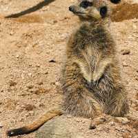 เที่ยว Butterfly Creek มุมธรรมชาติในโอ๊คแลนด์