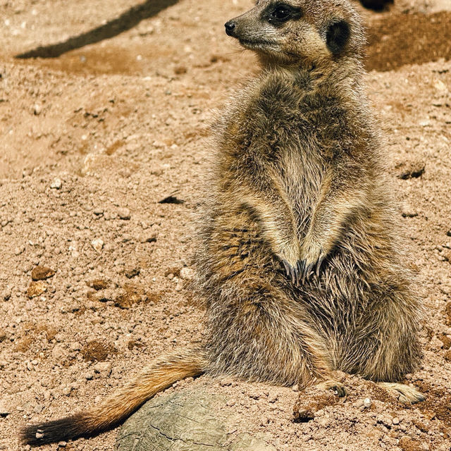 เที่ยว Butterfly Creek มุมธรรมชาติในโอ๊คแลนด์ เที่ยว Butterfly Creek มุมธรรมชาติในโอ๊คแลนด์