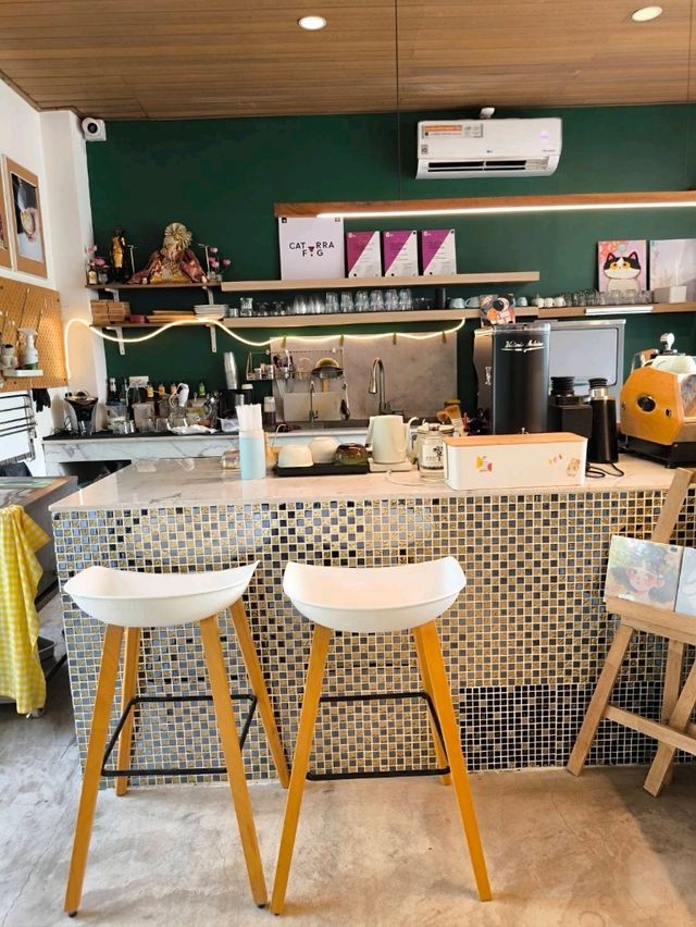 Caturra FŌG Café อ.วังสะพุง จ.เลย Caturra FŌG Café อ.วังสะพุง จ.เลย