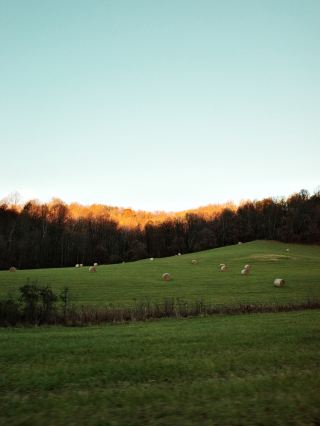 🇺🇸 Conquering Virginia’s Most Famous Hike