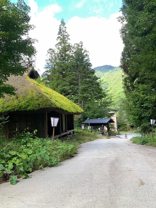 【湯めぐりの宿 平湯館｜交通便利 × 一泊二食超滿足的溫泉旅館】