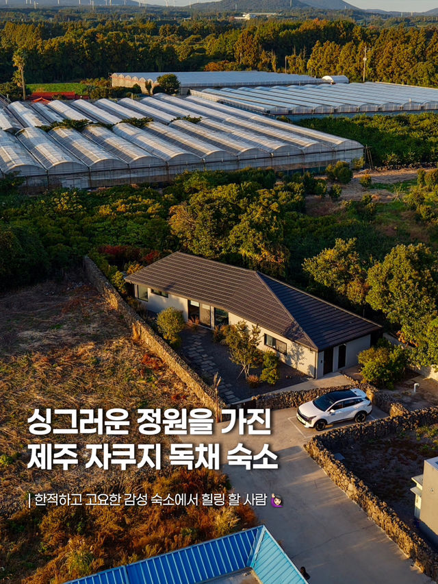 ์ฑ๊ทธ๋ฌ์ด ์์ฐ ์์ ์๋ฆฌ ์ก์ ๊ฐ์ฑ ๋
์ฑ ์คํ
์ด๐ก ์ฑ๊ทธ๋ฌ์ด ์์ฐ ์์ ์๋ฆฌ ์ก์ ๊ฐ์ฑ ๋
์ฑ ์คํ
์ด๐ก