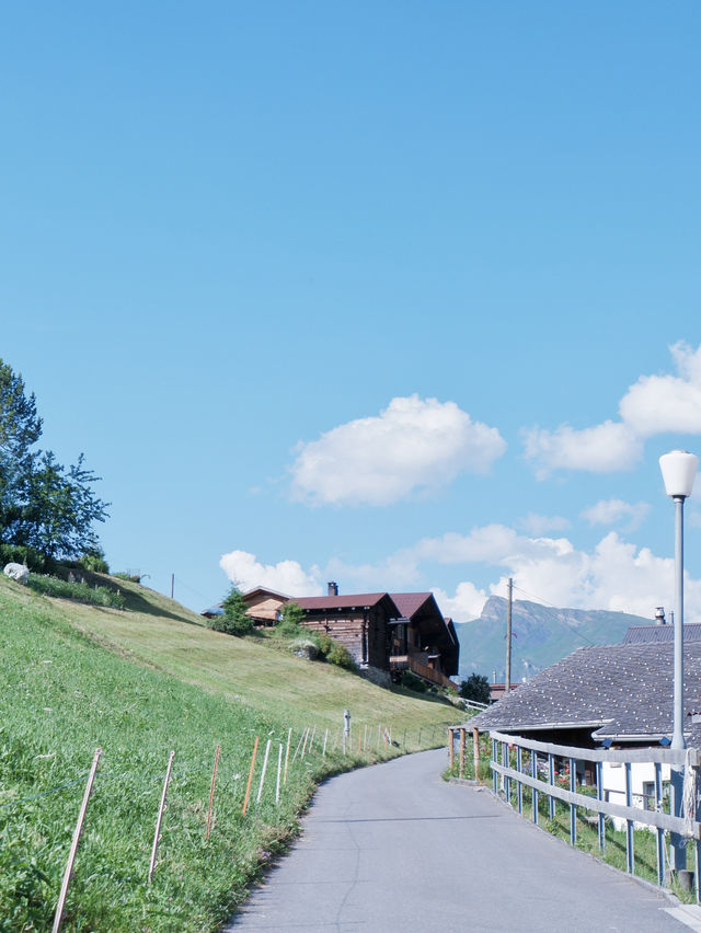 瑞士🇨🇭是阿爾卑斯山少女的故鄉 瑞士🇨🇭是阿爾卑斯山少女的故鄉