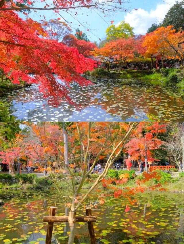 京都小眾紅葉秘境✨大原野神社の私藏打卡指南 京都小眾紅葉秘境✨大原野神社の私藏打卡指南
