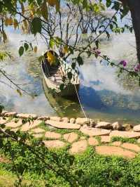 “The Shimmering Blue Jewel of Dali”