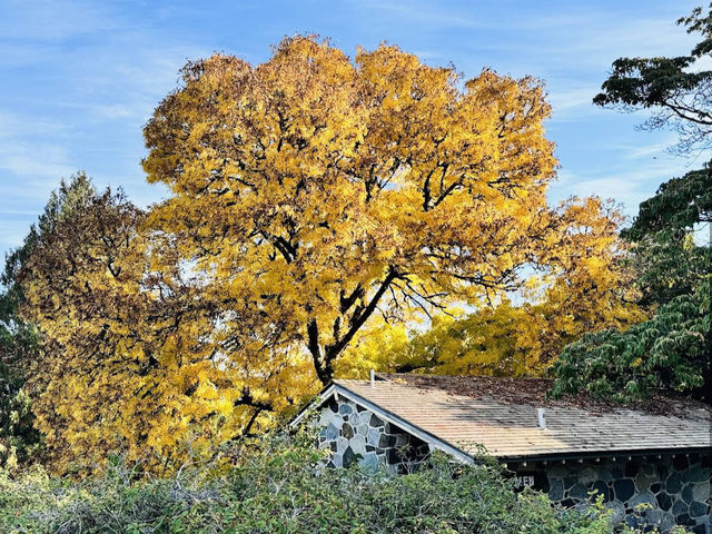 Queen Elizabeth Park