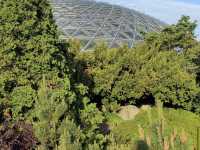 Queen Elizabeth Park