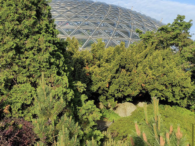 Queen Elizabeth Park